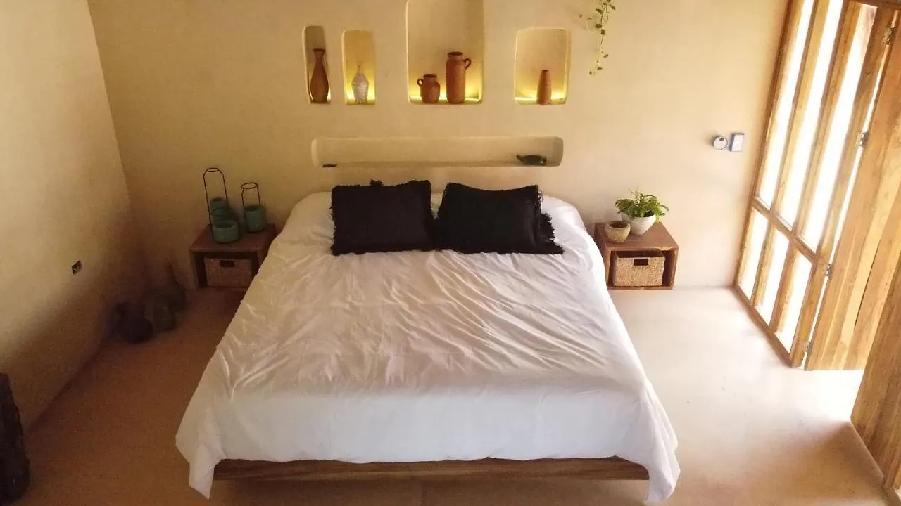 Zenote Sanctuary (Adults Only) Mexico
