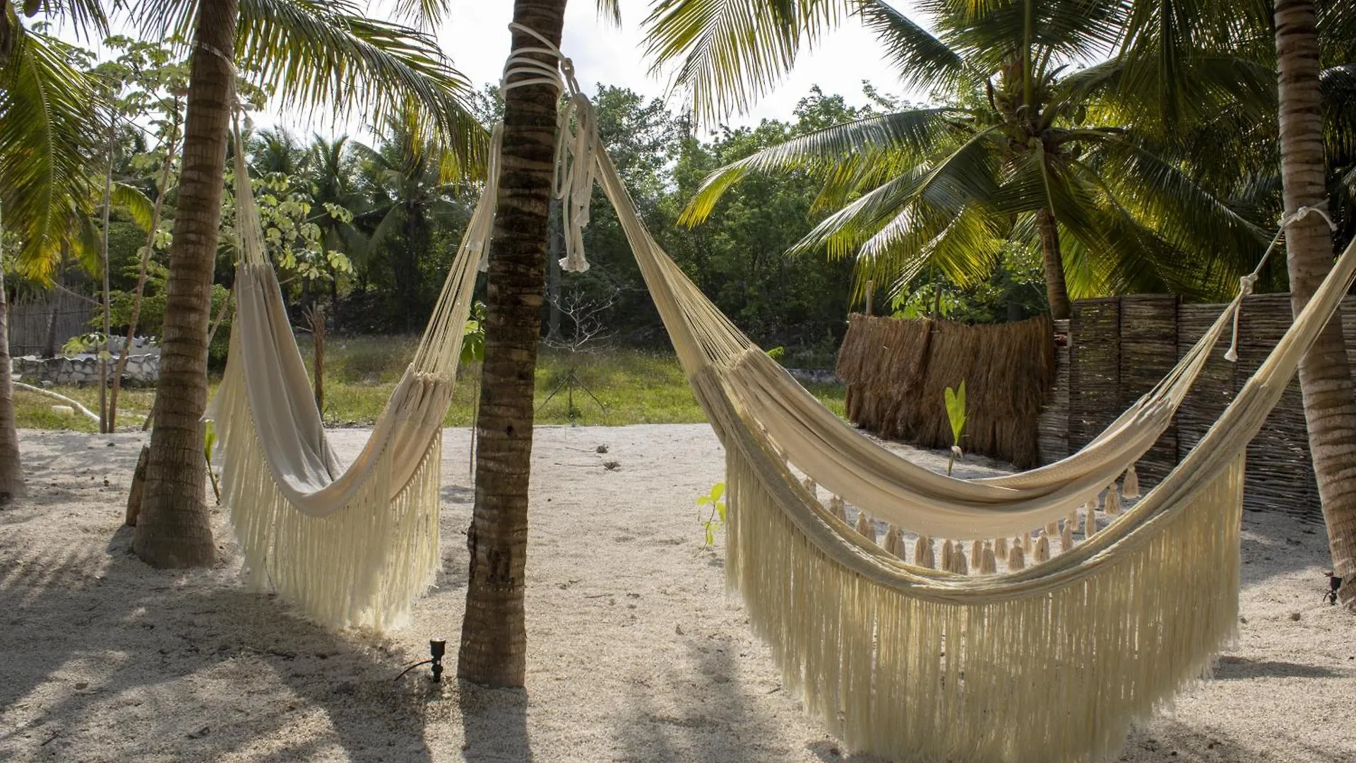 Zenote Sanctuary (Adults Only)
