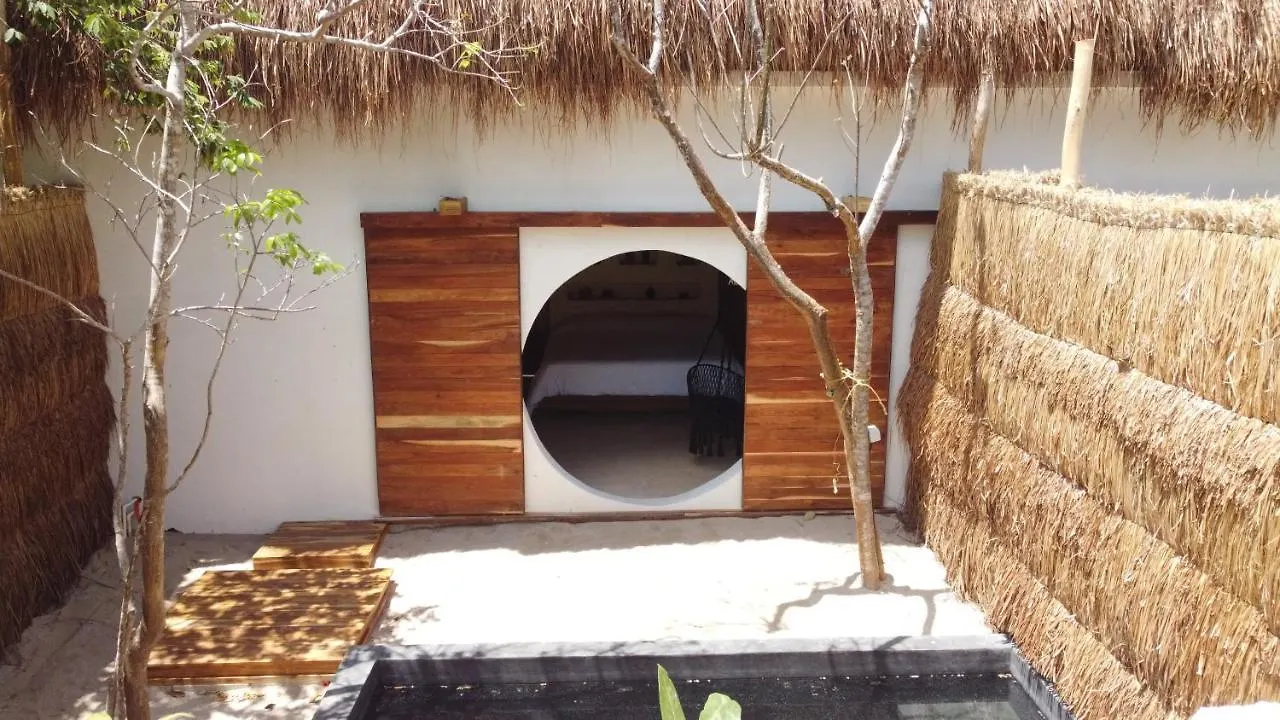Zenote Sanctuary (Adults Only)